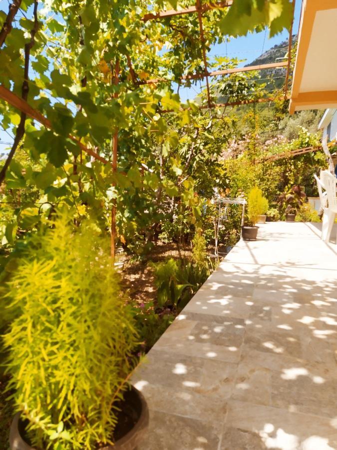 באר Djonovic Apartments מראה חיצוני תמונה
